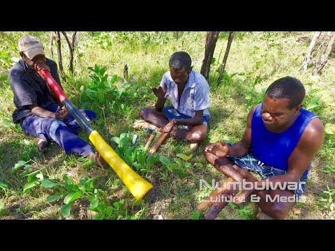 Dhaambulg Murriyung Yuwani (Sibllng over there) - Two Brothers Pointing - Murrungun Songs