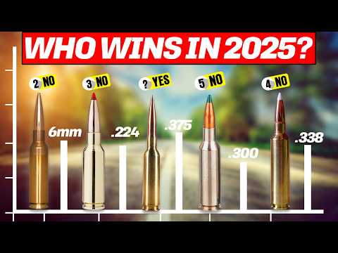 5 Best Long Range Calibers of 2026 [6mm vs .224 Valkyrie vs .300 Win Mag]