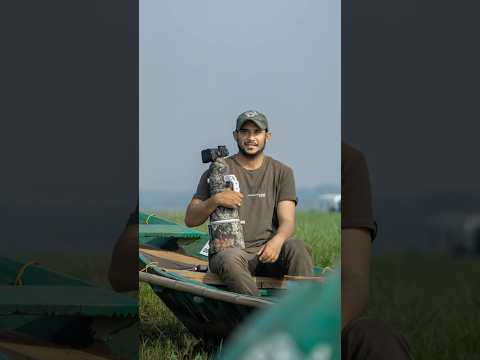 Sony 200-600mm Lens + Alpha 1: Perfect for Bird & Wildlife Photography! #shorts  #photography