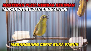 Download lagu PANCINGAN PLECI NEMBAK KEKINIAN PALING MUDAH DITIRU ,BIKIN LAWAN NGOTOT DAN CEPAT BUKA PARUH mp3