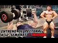 FÍSICO ACTUAL, A 12 SEMANAS DE COMPETIR+ENTRENAMIENTO DE PECHO!