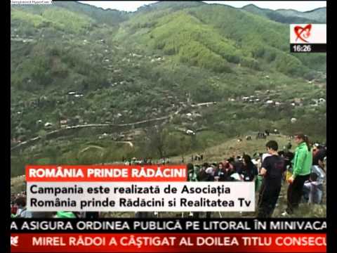 Romania prinde radacini