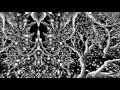 Xasthur - Bubonic Plague ( Set to Strobosocpic Visuals by BenBickford/DoomMantra )