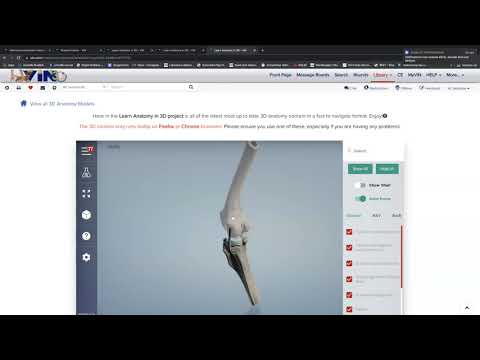 兽医DVM如何学习动物3D 肌肉骨骼神经血管： Vin demo