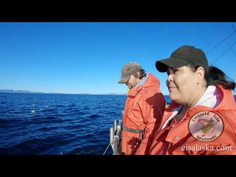 Direct Market Fishermen - We Deliver the Best!