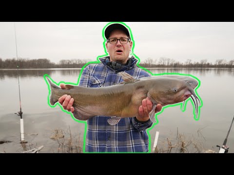 How to catch CHANNEL CATFISH in COLD WATER [Winter catfishing]