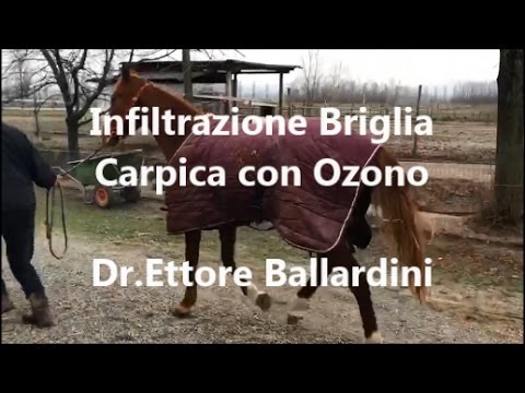 Medicina controllo di Colm Laiuto da dipendenza alcolica