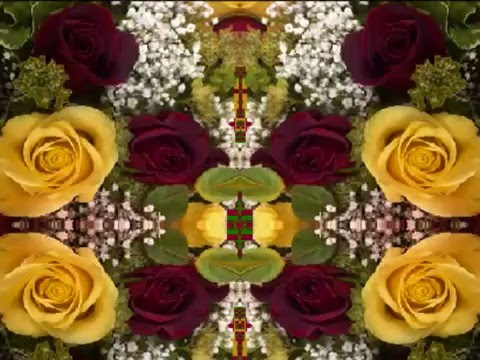 The Beauty of You (by the Bap Kennedy Trio live in Italy, 2014)