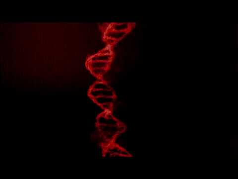 Pazzy - DNA