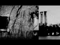 Nick Cave & The Bad Seeds - Push the Sky Away