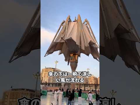 サウジアラビアが当初望んでいなかった日本の傘が彼らを驚かせた