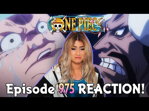 image-Will WANO become Luffy's territory?