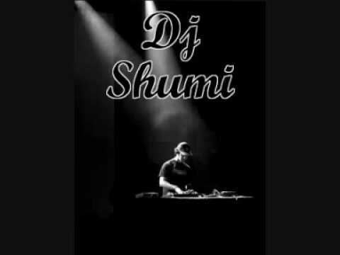 Dj Shumi - 2010 mix
