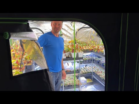 2025 Highland Carnivorous Plant Growth Chamber Tour