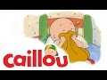 Caillou Caillou S Missing Sock S01E45 Cartoon For Kids