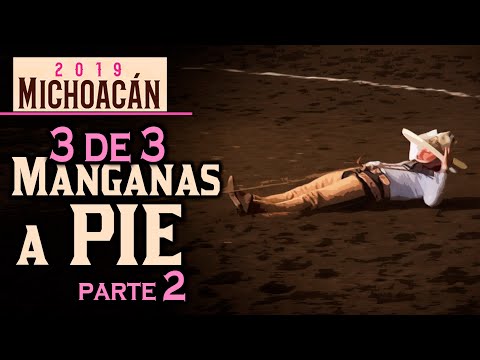 3 of 3 MANGANAS ON FOOT Part 2 - Morelia Congress 2019