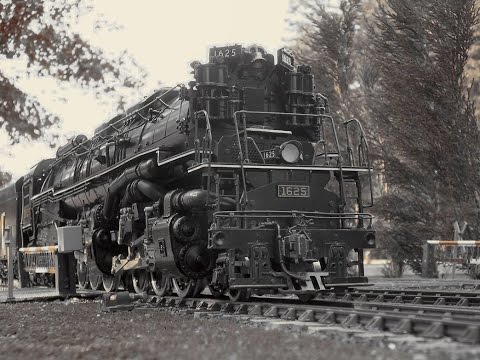 Malyshev vivere la salute delle articolazioni Lussazione congenita dellanca articolazioni IBC