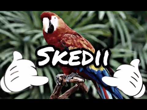 DJ NEKSIDE x  O-MEGA A NOUS DEUX x SKEDII