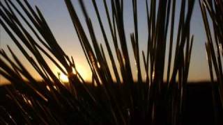 Sólo le pido a Dios- Ana Belén&#39;