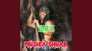 Shushui (Armadillo) Music Video