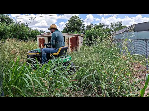 Video 040 – Backyard Cleanup with Chainsaw & Mower | Tall Grass, Fence Line & Weed Removal