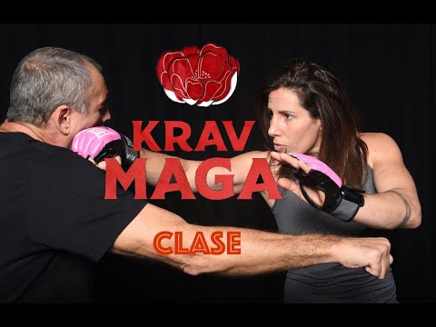 introduccion al krav maga - Clases virtuales con Daniela Krukower- - Experta 2 en Krav maga IKMF