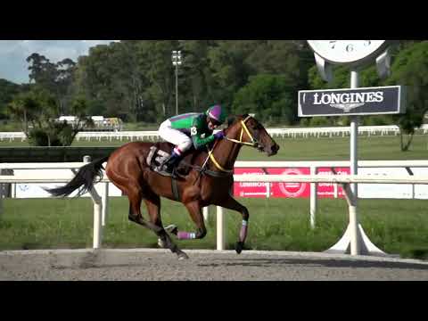 221127 c07 1° LA ROMASITA