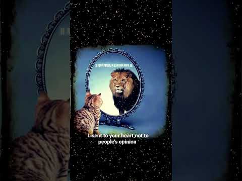 cat to lion versen|cat to king #motivation #attitude #lion #sankrit#animals#shorts