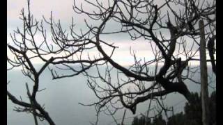 Sfumature di grigio all'orizzonte (Paolo Fresu).avi