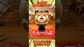 末っ子が泣いた理由がまさかすぎた、、 #あつ森 #あつまれどうぶつの森 #shorts