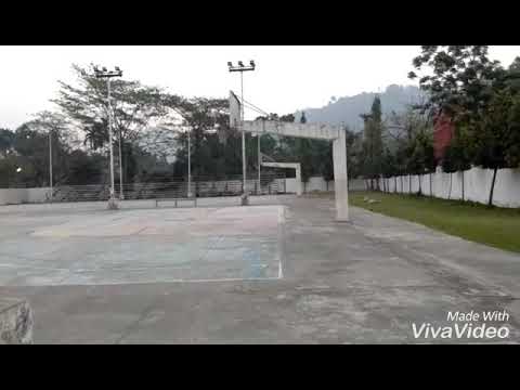 14 yrs old boy -hard working-brand