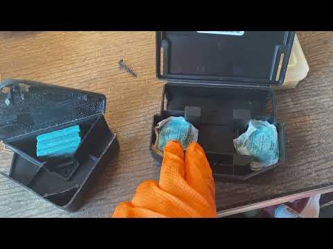 Using Flavored Baits to Remove the Mice in Mantoloking, NJ