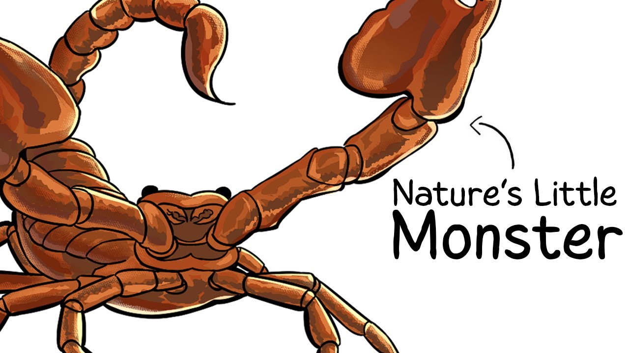 Why it Sucks To Be Born As a Scorpion