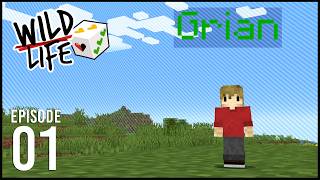 Grian's recent Youtube video thumbnail