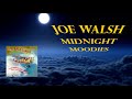 Joe Walsh ~ Midnight Moodies #joewalsh  #MidnightMoodies #TheSmokerYouDrinkThePlayerYouGet #grace