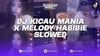 Download lagu DJ KICAU MANIA X MELODY HABIBIE VERSI SLOWED REMIX BY BANGSAY   mp3