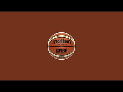 U15 Eccellenza Social Osa - Pallacanestro Varese