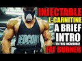 INJECTABLE L-CARNITINE FAT BURNER INITIAL REVIEW