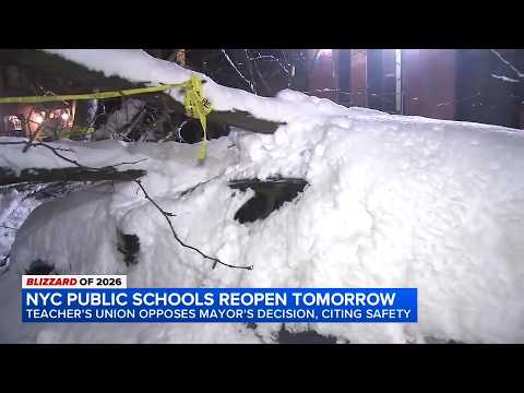 Over 100K signatures for petition to not have NYC public ...