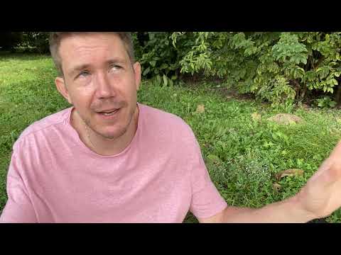 Dream week! August 28 - 3 September 2023 Your Weekly Horoscope with Gregory Scott