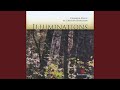 Fantasy-Variations on a Theme of Schubert: VIII. Duo Cadenza