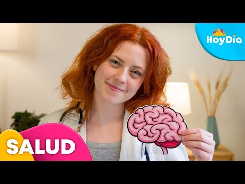 Alimentos para la función cerebral