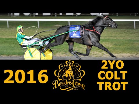 2016 Breeders Crown - Walner - 2CT