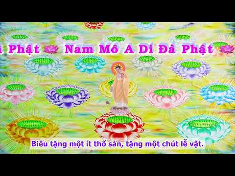 HD | Kinh A Di Đà Sớ Sao Diễn Nghĩa, tập 102 [phụ đề] - Lão Pháp Sư Tịnh Không