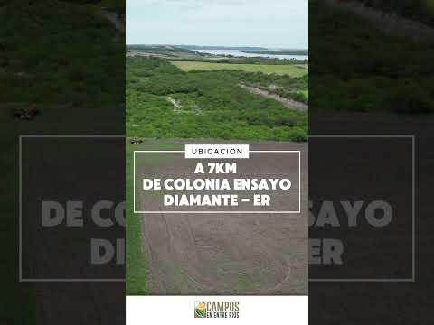 12 Ha en Diamante: Ideal para tu Proyecto Rural o Quinta 🌾