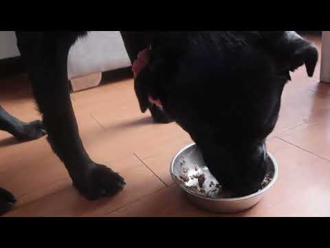 El fin del "no quiero comer"