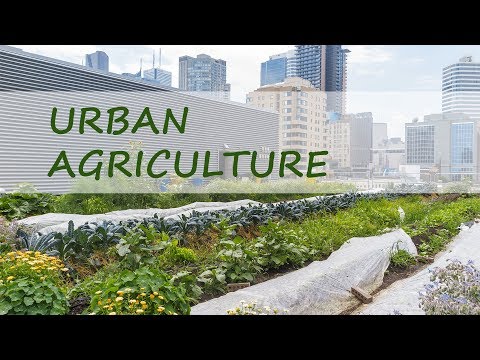 , title : 'Urban Agriculture — Myth Or Reality?'