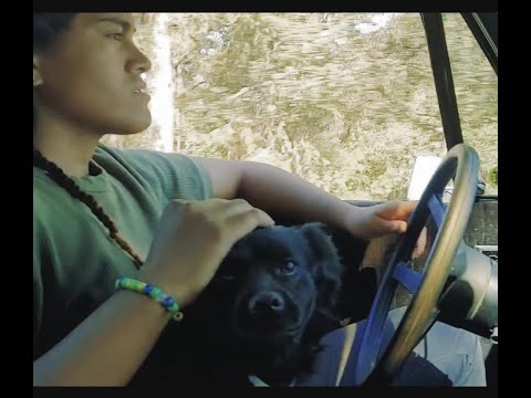 FIU FIFILI PE - OKUSITINO TATAFU - INSTRUMENTAL