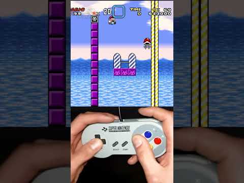 SHELL JUMPS and SPINY EGGS