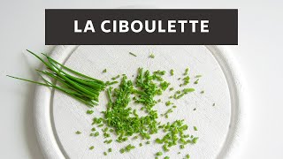 Click here to play the video